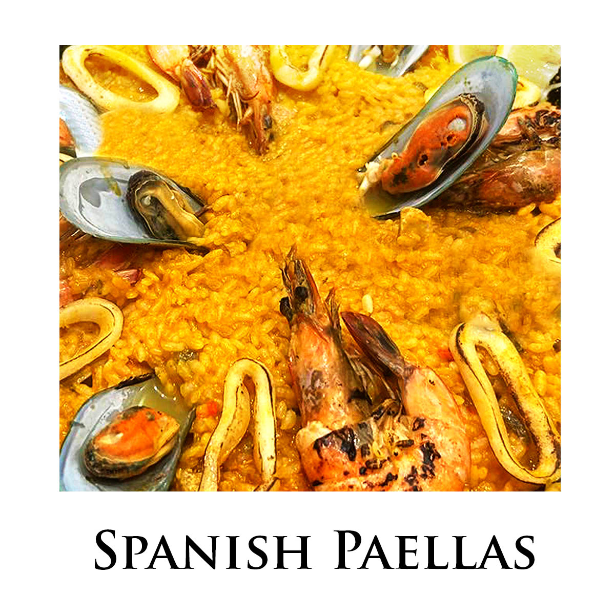 spanish_paellas1